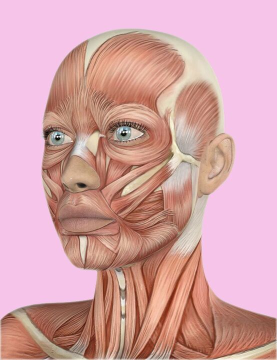 Human facial fabrics