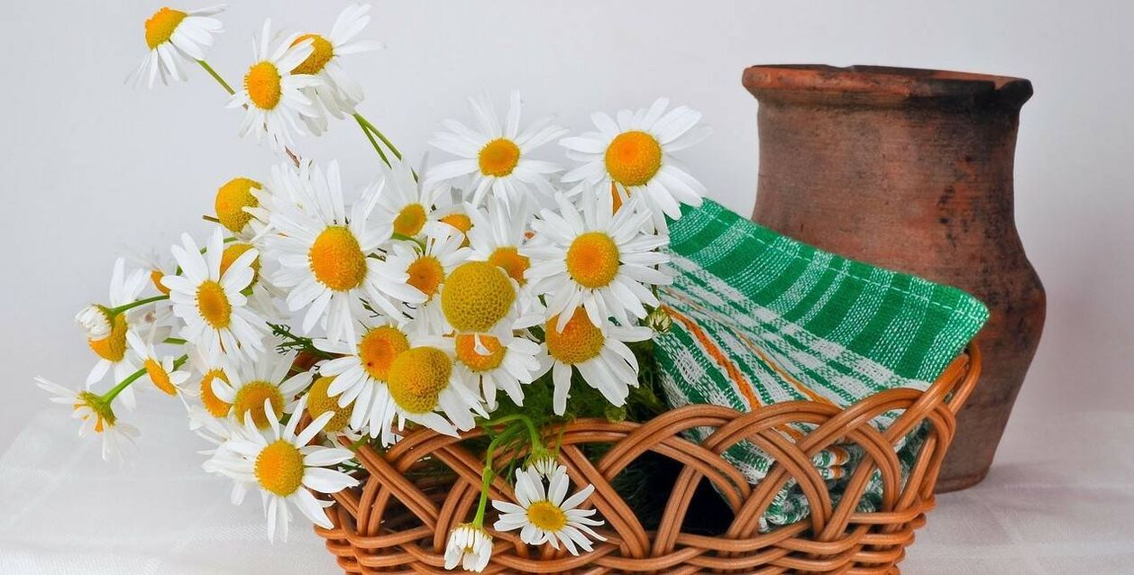 How to make facial toner from chamomile flowers